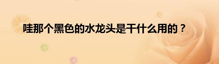 哇那个黑色的水龙头是干什么用的？