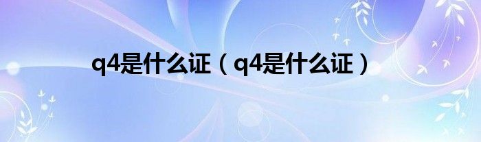 q4是什么证（q4是什么证）