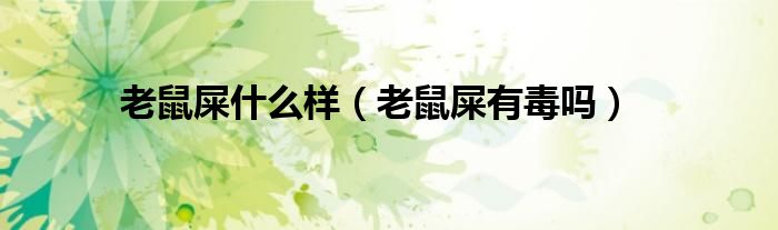 老鼠屎什么样（老鼠屎有毒吗）