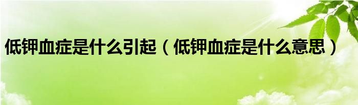 低钾血症是什么引起（低钾血症是什么意思）
