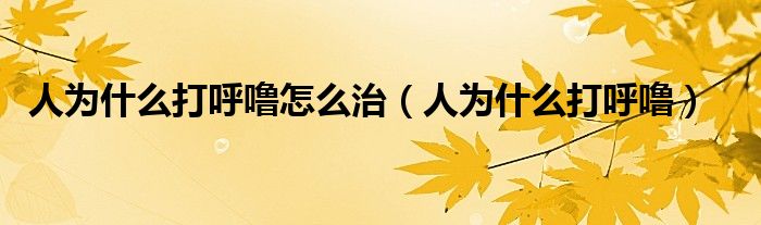 人为什么打呼噜怎么治（人为什么打呼噜）