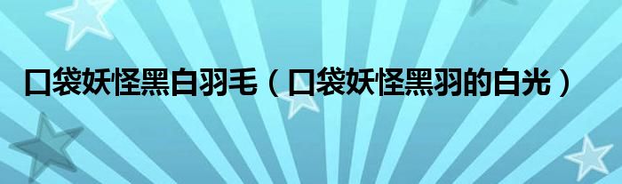 口袋妖怪黑白羽毛（口袋妖怪黑羽的白光）