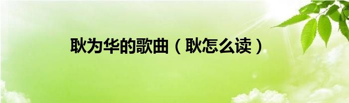 耿为华的歌曲（耿怎么读）