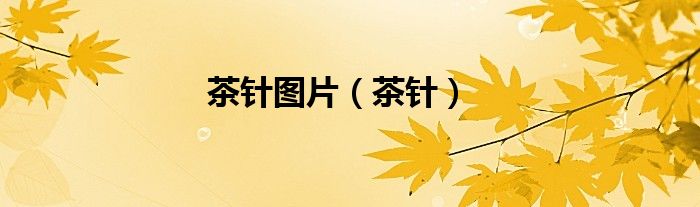 茶针图片（茶针）