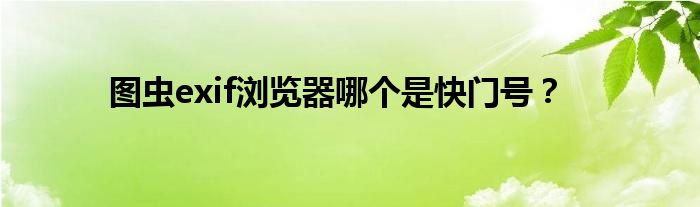图虫exif浏览器哪个是快门号？