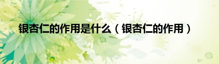 银杏仁的作用是什么（银杏仁的作用）