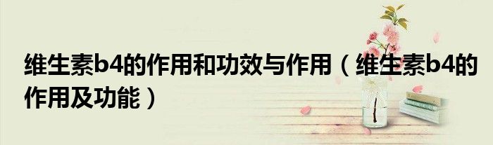 维生素b4的作用和功效与作用（维生素b4的作用及功能）