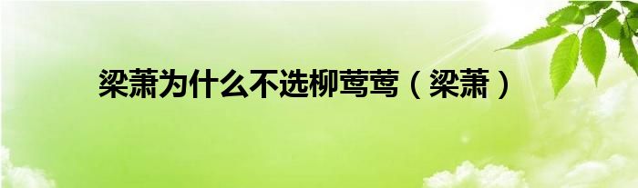 梁萧为什么不选柳莺莺（梁萧）