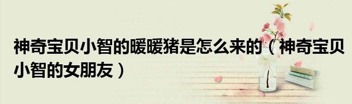 神奇宝贝小智的暖暖猪是怎么来的（神奇宝贝小智的女朋友）