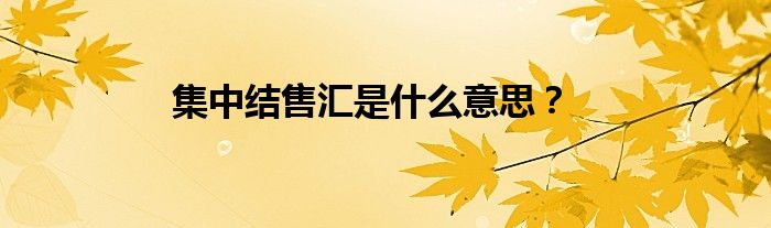 集中结售汇是什么意思？