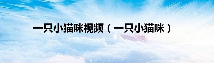 一只小猫咪视频（一只小猫咪）
