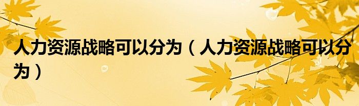 人力资源战略可以分为（人力资源战略可以分为）