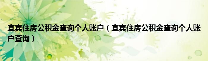 宜宾住房公积金查询个人账户（宜宾住房公积金查询个人账户查询）