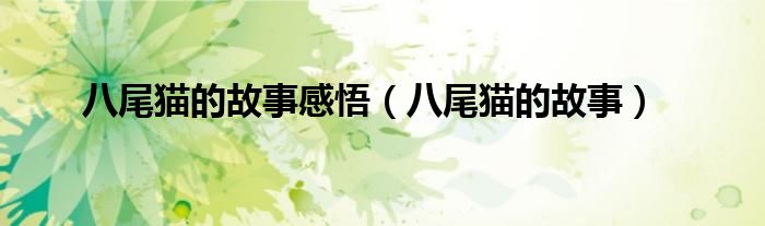 八尾猫的故事感悟（八尾猫的故事）
