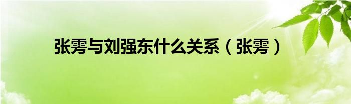 张雱与刘强东什么关系（张雱）