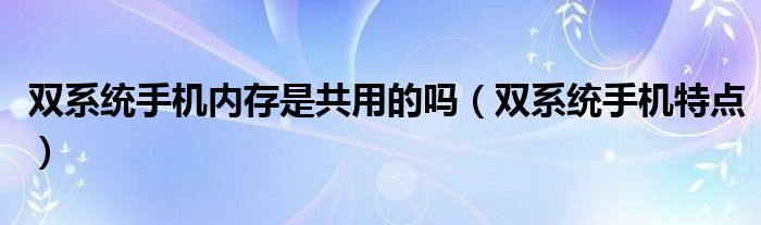 双系统手机内存是共用的吗(双系统手机特点)