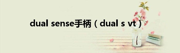 dual sense手柄（dual s vt）
