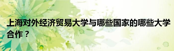 上海对外经济贸易大学与哪些国家的哪些大学合作？