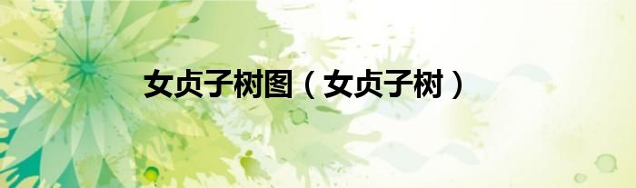 女贞子树图（女贞子树）