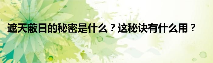 遮天蔽日的秘密是什么？这秘诀有什么用？