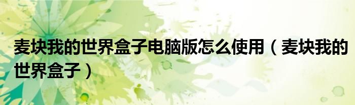 麦块我的世界盒子电脑版怎么使用（麦块我的世界盒子）