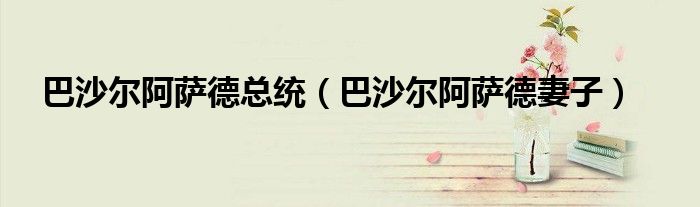 巴沙尔阿萨德总统（巴沙尔阿萨德妻子）