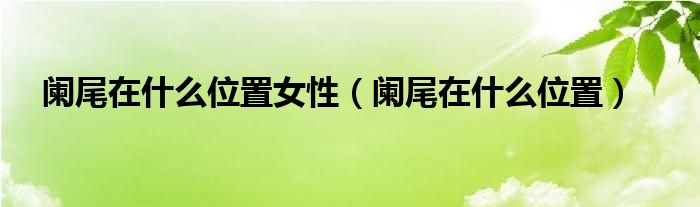 阑尾在什么位置女性（阑尾在什么位置）
