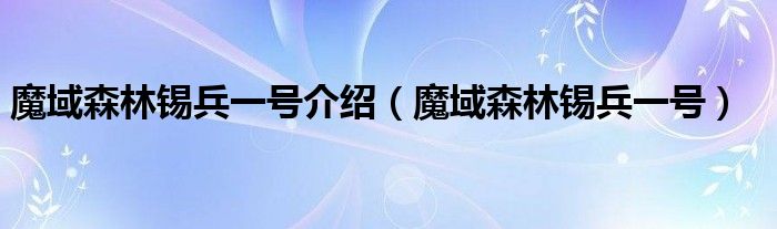 魔域森林锡兵一号介绍（魔域森林锡兵一号）