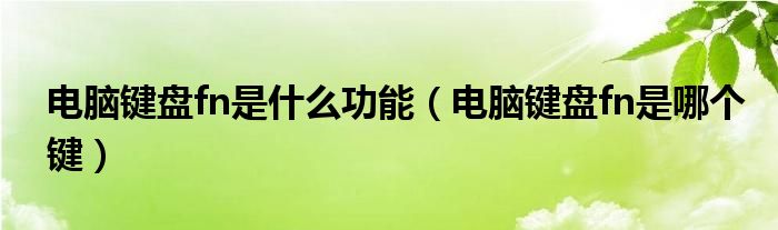 电脑键盘fn是什么功能（电脑键盘fn是哪个键）