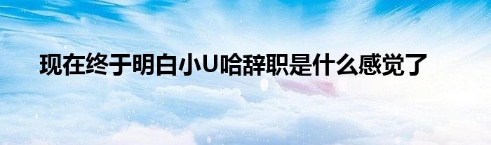 现在终于明白小U哈辞职是什么感觉了