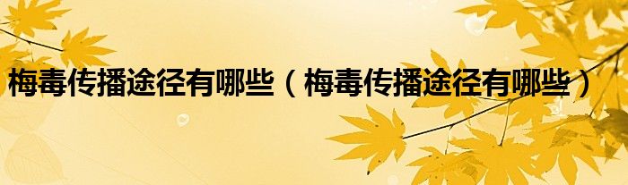 梅毒传播途径有哪些（梅毒传播途径有哪些）