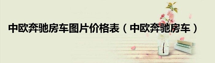 中欧奔驰房车图片价格表（中欧奔驰房车）