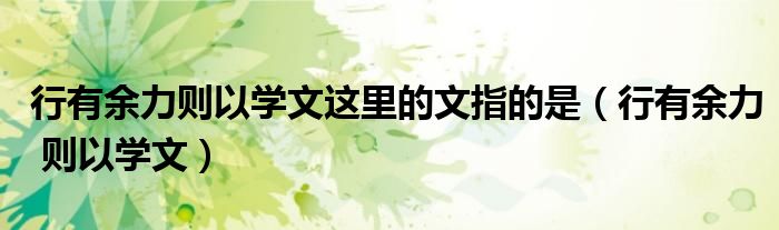 行有余力则以学文这里的文指的是（行有余力 则以学文）