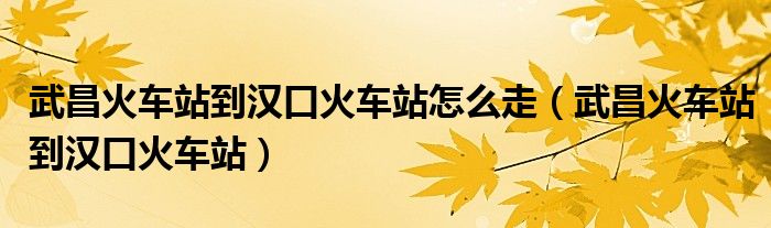 武昌火车站到汉口火车站怎么走（武昌火车站到汉口火车站）