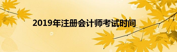 2019年注册会计师考试时间