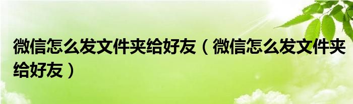 微信怎么发文件夹给好友（微信怎么发文件夹给好友）
