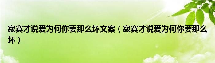 寂寞才说爱为何你要那么坏文案（寂寞才说爱为何你要那么坏）
