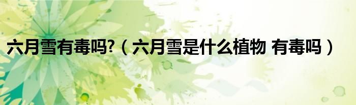 六月雪有毒吗?（六月雪是什么植物 有毒吗）