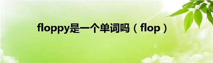 floppy是一个单词吗（flop）