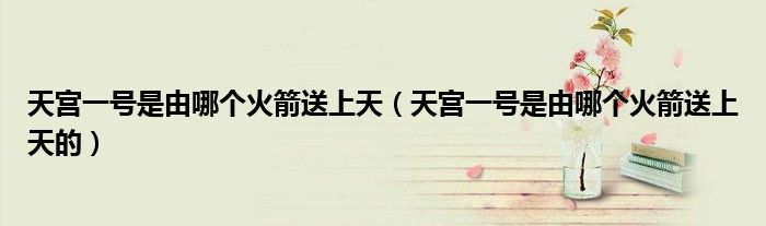 天宫一号是由哪个火箭送上天（天宫一号是由哪个火箭送上天的）