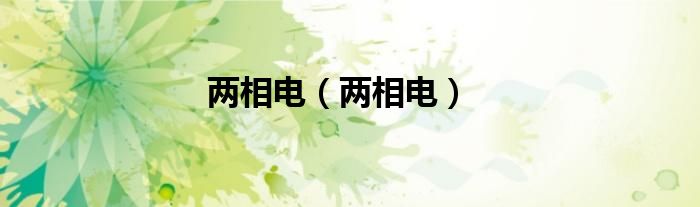 两相电（两相电）