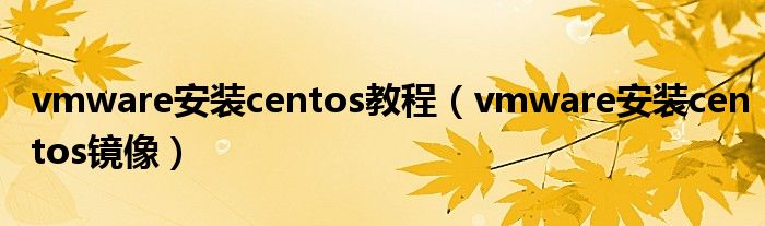 vmware安装centos教程（vmware安装centos镜像）
