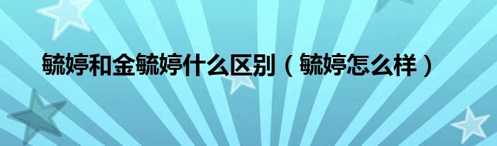 毓婷和金毓婷什么区别（毓婷怎么样）