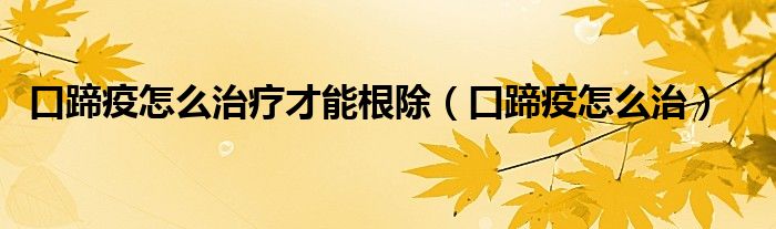 口蹄疫怎么治疗才能根除（口蹄疫怎么治）