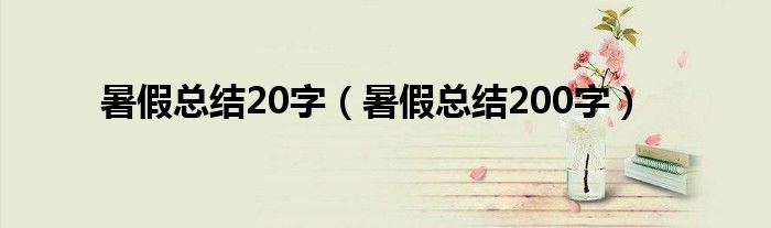 暑假总结20字（暑假总结200字）