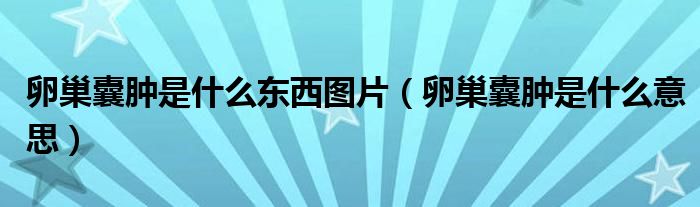 卵巢囊肿是什么东西图片（卵巢囊肿是什么意思）
