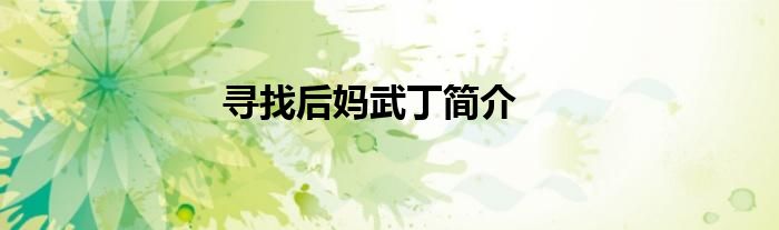 寻找后妈武丁简介