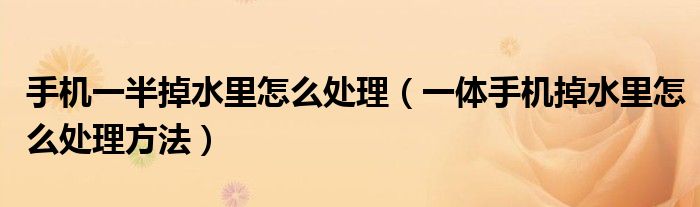手机一半掉水里怎么处理（一体手机掉水里怎么处理方法）
