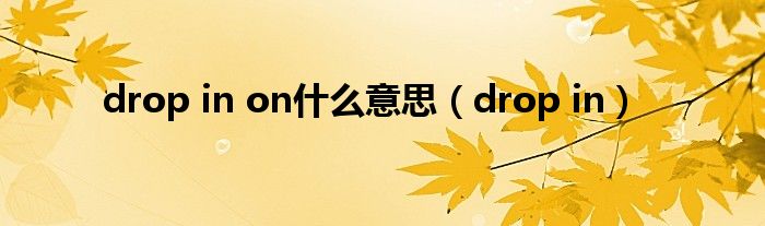 drop in on什么意思（drop in）