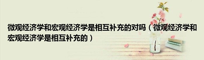 微观经济学和宏观经济学是相互补充的对吗（微观经济学和宏观经济学是相互补充的）